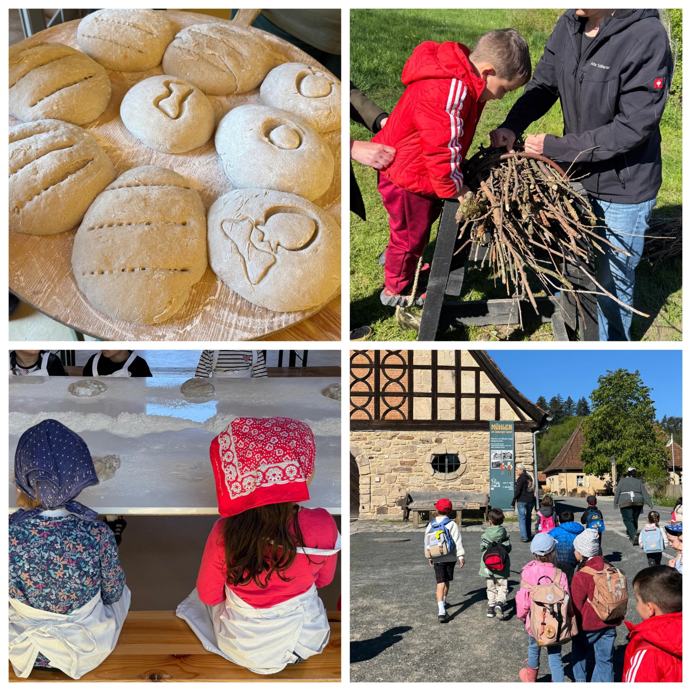 Wir haben einen Ausflug nach Ahorn zur 'Alten Schäferei' gemacht. Mit dem Bus sind wir los gefahren. Vor Ort haben wir Teig geknetet, Holz gesägt, Holz im Wald gesammelt und Brot gebacken. Zum Abschluss durfte jedes Kind das selbst gemachte Brot mit nach Hause nehmen.